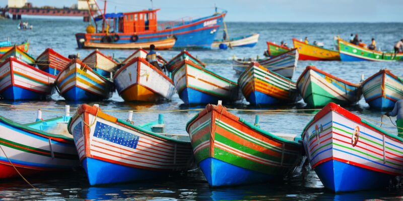 Indien-Kerala-Rundreise