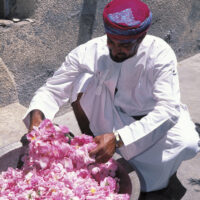 Weihrauchland Oman