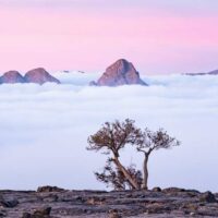 Landschaft am Jebel Shams im Oman