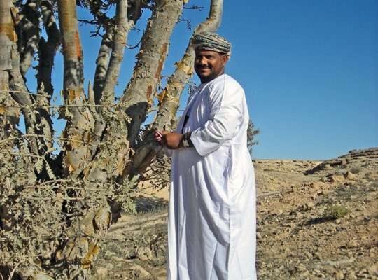 Weihrauchland Oman